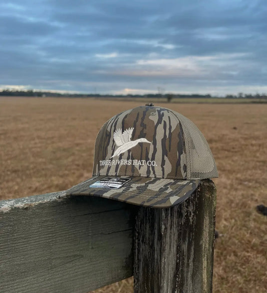 Bottomland Duck